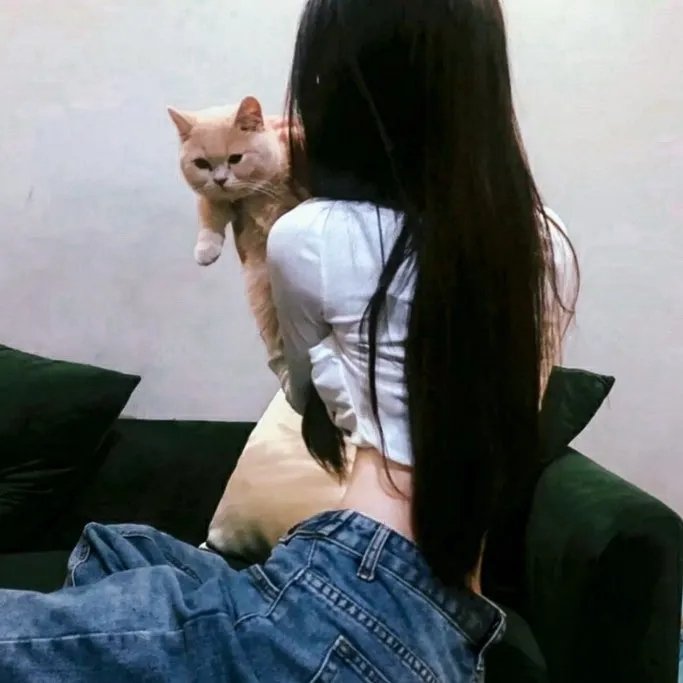 怪怪屋